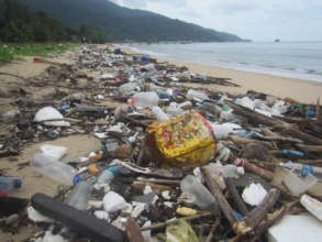 Beach debris