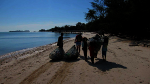 Cleaning up the beaches