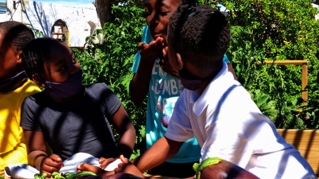 Children Love The Veggie Garden at School