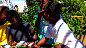 Children Love The Veggie Garden at School