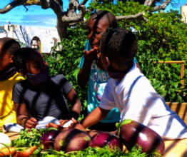 Enjoying our School Veggie Garden in South Africa