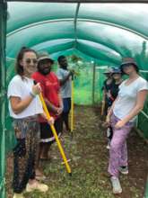 Weeding Shade house