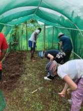 Weeding Shade House