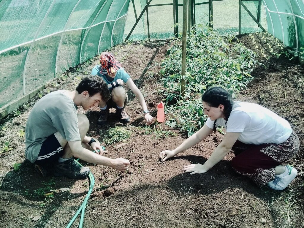 Fund a Sustainable School Vegetable Garden