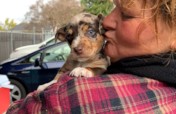 Help the most under-served pets in Sacramento