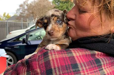 Help the most under-served pets in Sacramento