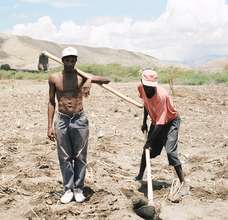 From hoe to Ox plow, augmenting production