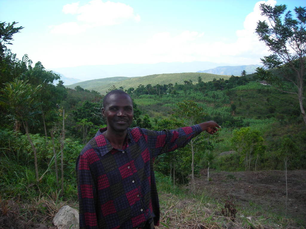 Plant Trees and Strengthen Communities