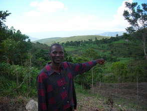 Replanted Hillsides in Haiti