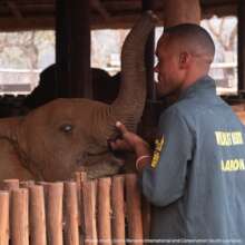 Chipembele - Credit Game Rangers International