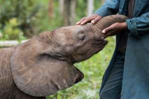 Mataya - Credit Linda Rorbye