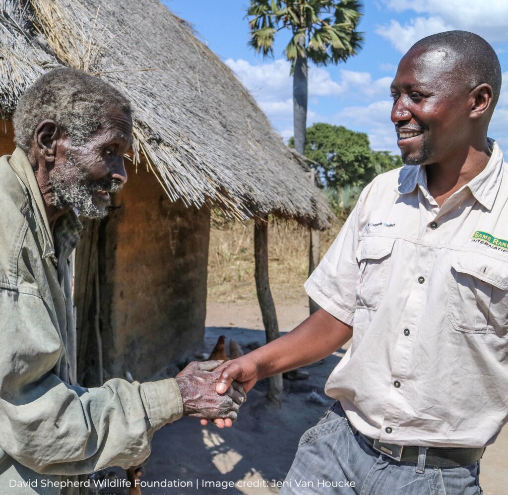 Protecting Elephants