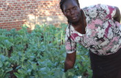 Agribusiness for Women ex-prisoners in Langas slum
