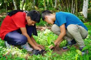 Planting trees with students this December in Peru