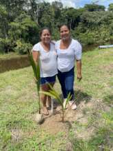 Riverside food forest planting in Dec 2024