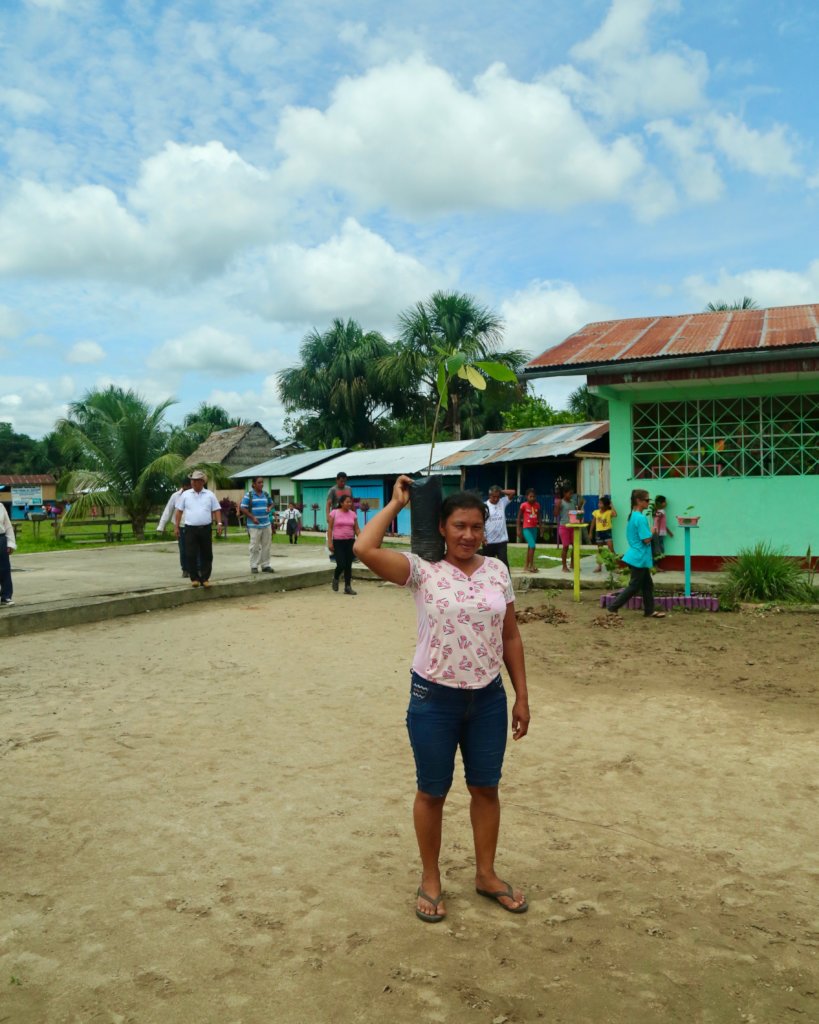 Agroforestry & fruit trees for Amazonian families