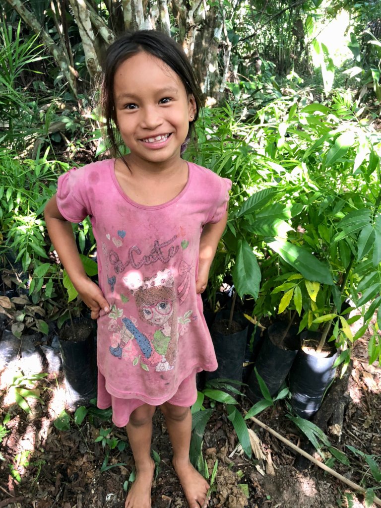 Agroforestry & fruit trees for Amazonian families