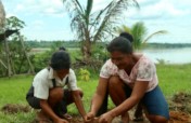 Fruit trees for Peruvian Amazon families