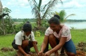 Agroforestry & fruit trees for Amazonian families