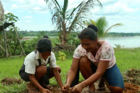 Agroforestry & fruit trees for Amazonian families