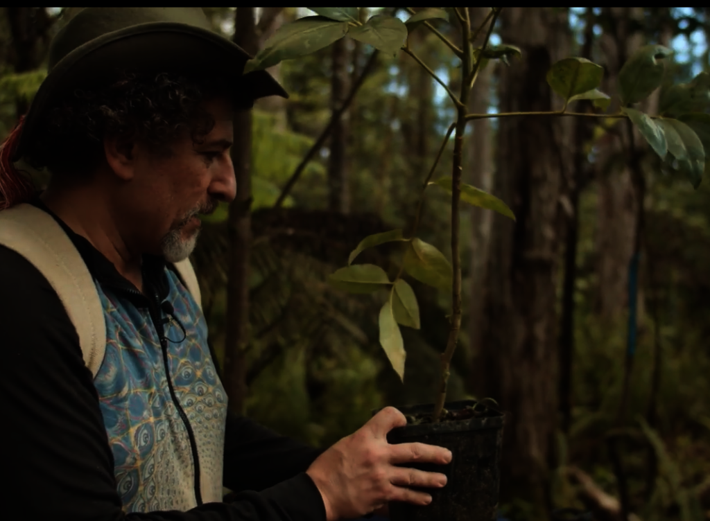 Board President & Co-founder David "Avocado" Wolfe