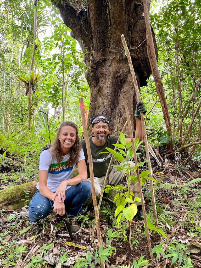2021 Ohe planting in Keau'ohana