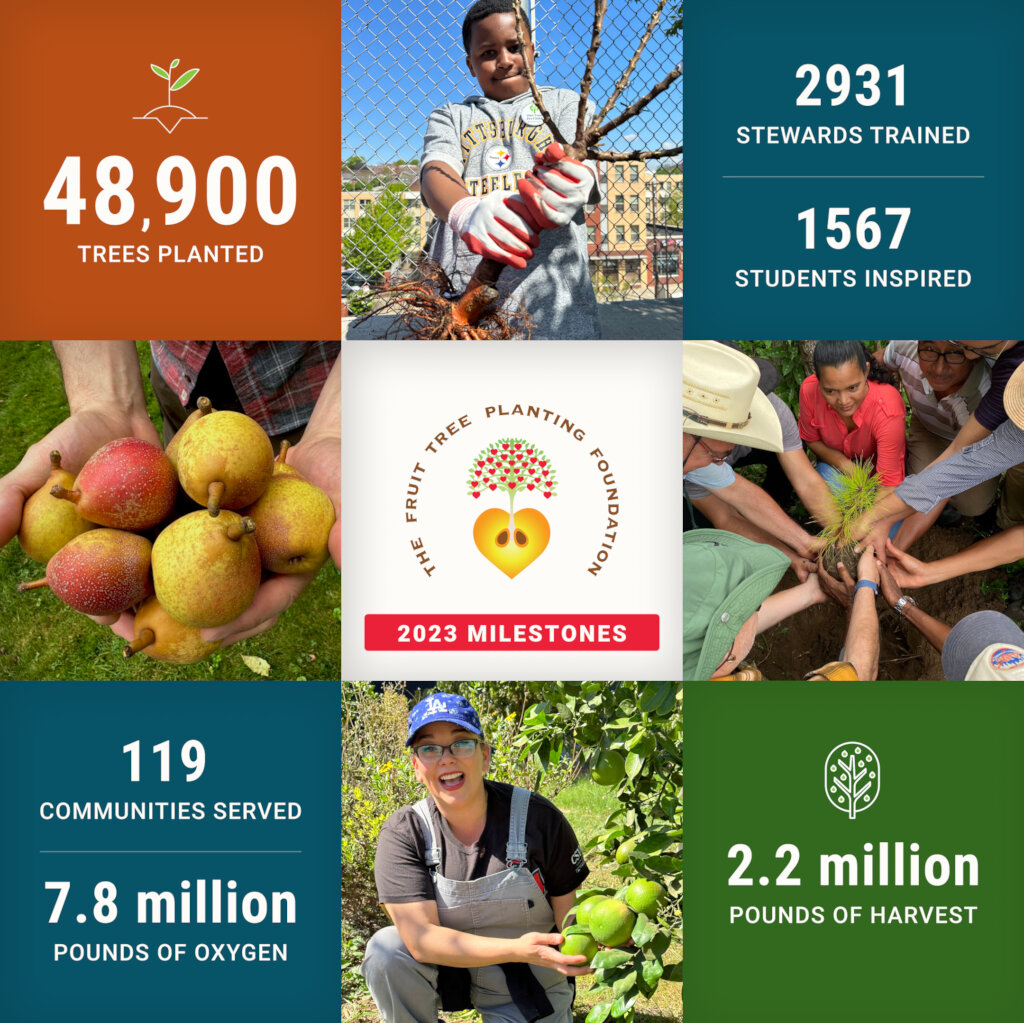 Reports on Planting native trees to save Hawaiian forests GlobalGiving