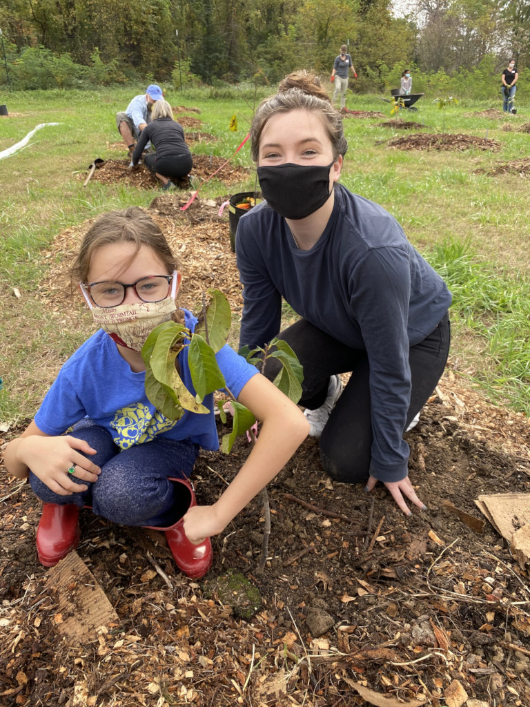 Planting an orchard in northern Virginia