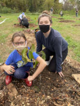 Planting an orchard in northern Virginia