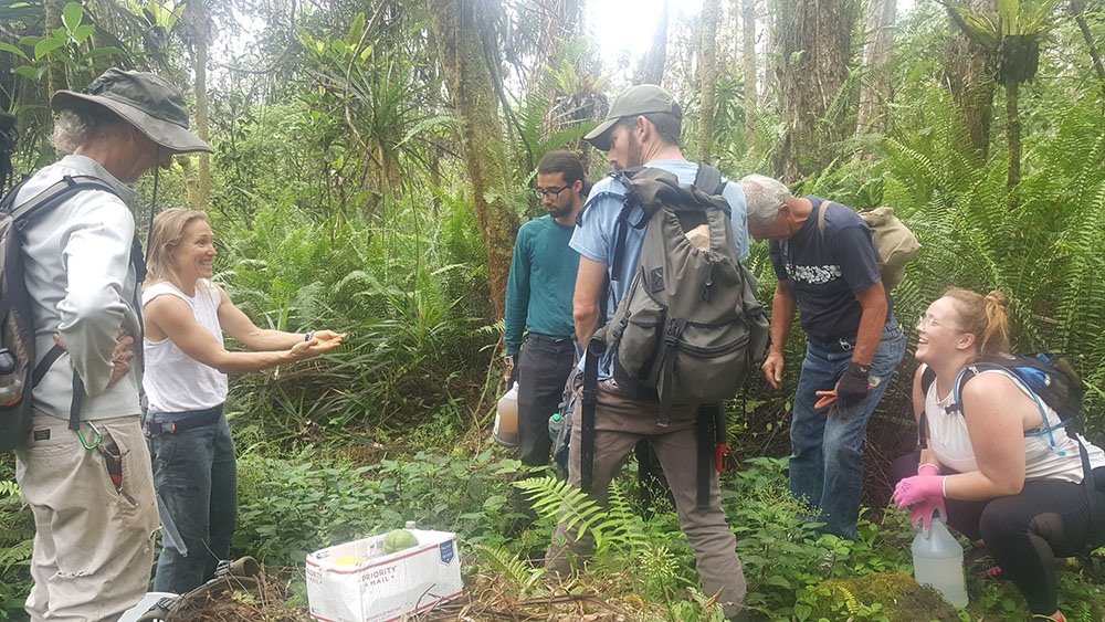Planting native trees to save Hawaiian forests