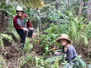 Volunteer planters in action