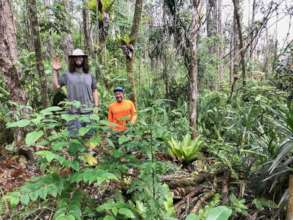 Volunteer planters in action