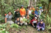 Planting native trees to save Hawaiian forests
