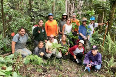 Planting native trees to save Hawaiian forests