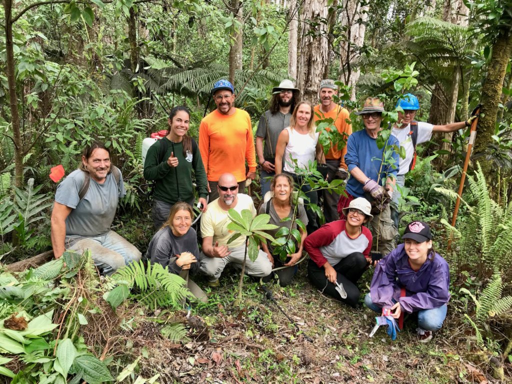 Planting native trees to save Hawaiian forests