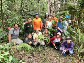 Planting native trees to save Hawaiian forests