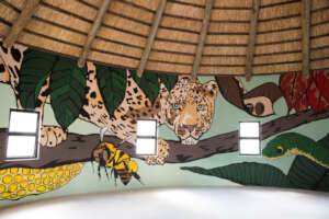 Wildlife Discovery Centre - Anne Jennings