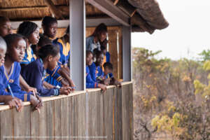 Wildlife Discovery Centre - Viewing Platform