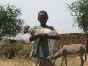 A goat to change a life