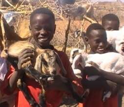 Please donate & help us save our life-saving Goats