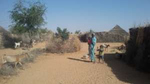 Fatinya on her land with her goats