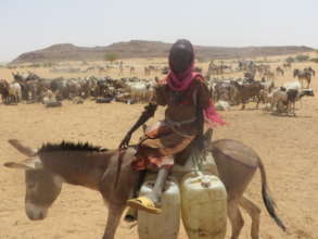 Girl fetching water with her donkey