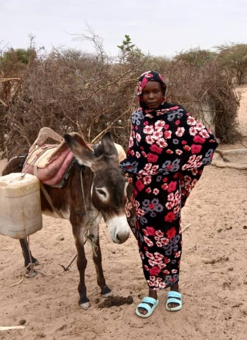 Donkeys help families bring water home