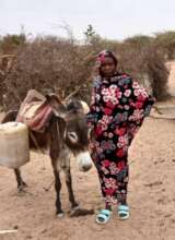 Donkeys help families bring water home