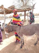 Delighted to receive her Donkey