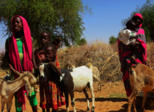 Thurya with her family and goats