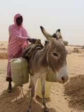 Aasha's donkey has transformed her life