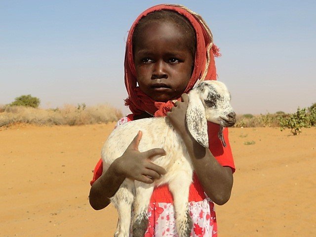 Goats save Children's Lives