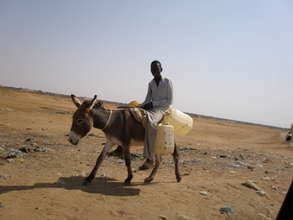 Donkeys help carry water home