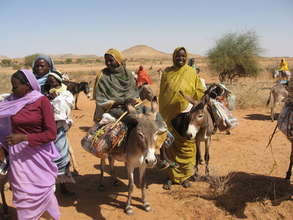 Donkeys provide essential transport